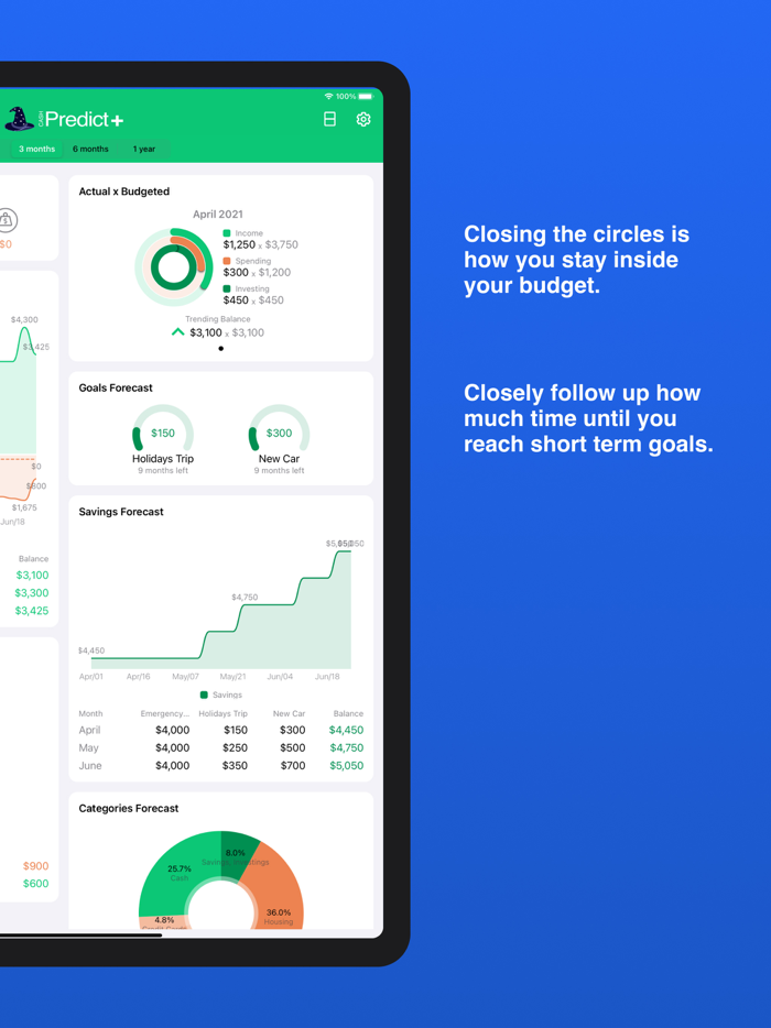 Cash Predict Easy Budget
