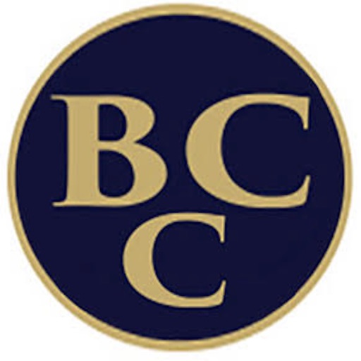 Bank Coin Credit Icon