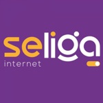 SELIGA Internet