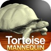 Tortoise Mannequin