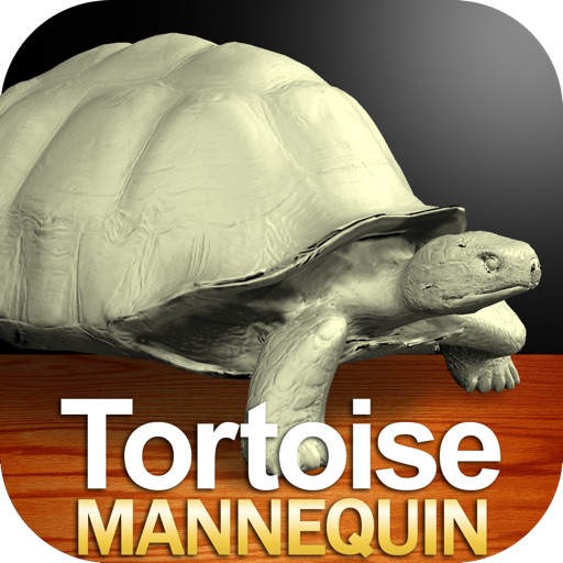 Tortoise Mannequin Download