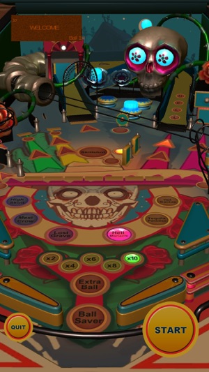 Pinball Frenzy 3D