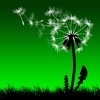 Leaf on the Wind (AppStore Link) 