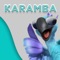 Welcome to Karamba