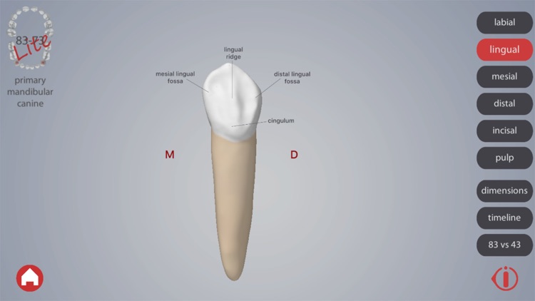 Dental Corpus Primary Lite screenshot-4