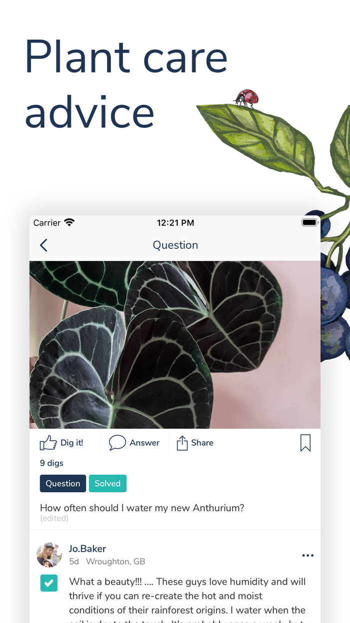 Candide – Plants  Gardening