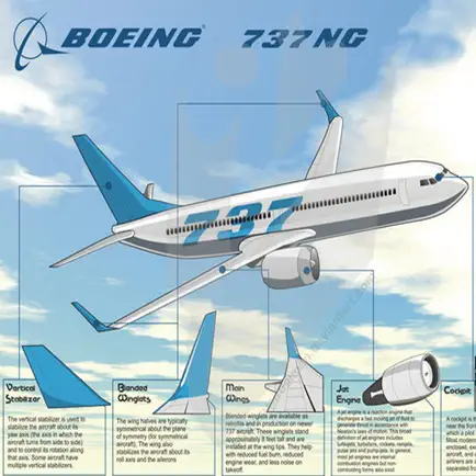 Boeing 737-300/400/500/NG/MAX Cheats