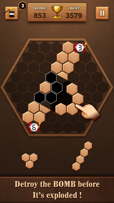 Wooden Hexagon Fit: Hexa Block screenshot 3