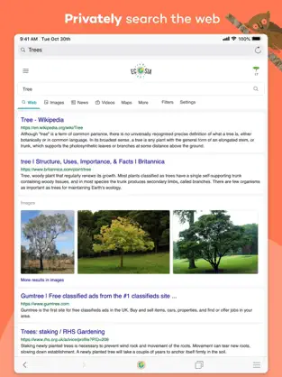 Captura 2 Ecosia iphone