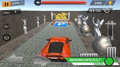 How to cancel & delete Maze Parking Car High Lever from iphone & ipad 3
