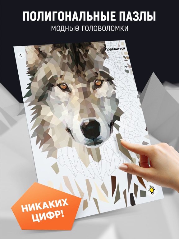POLY ART - Цветная головоломка на iPad