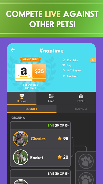 Pet Parade: Cutest Dogs & Cats free Gold and Silver hack