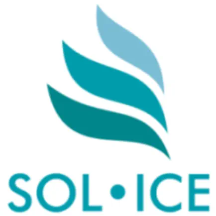 Solice Recovery Читы