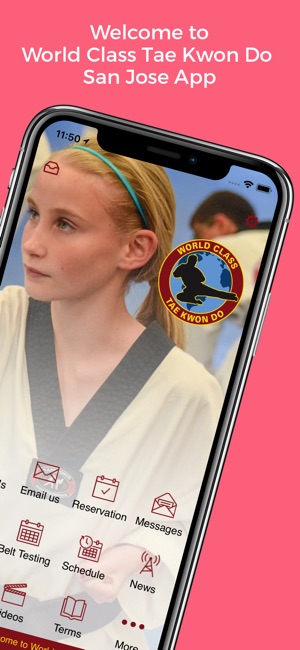 World Class Tae Kwon Do