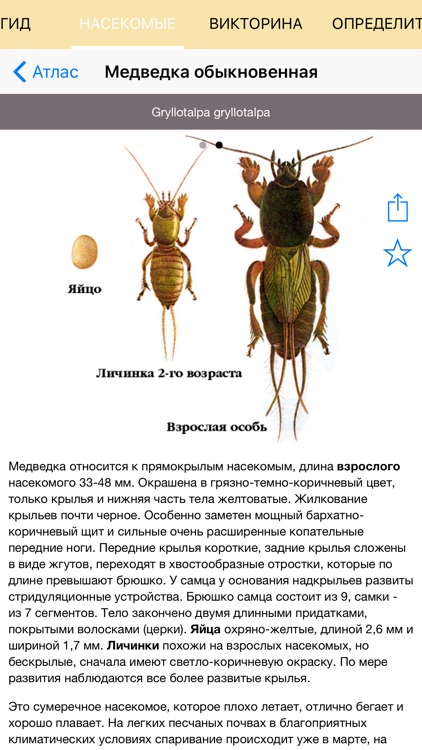 Экогид - Насекомые-вредители
