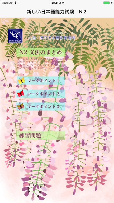 新しい日本語検定試験N2文法のまとめ screenshot1