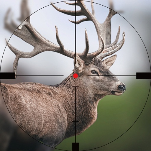 Big Deer hunter Wild hunting