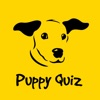 Dogs Trust Puppy Quiz dogs trust 