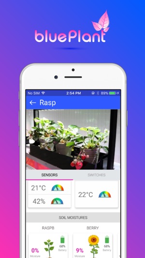 Blue Plant(圖3)-速報App