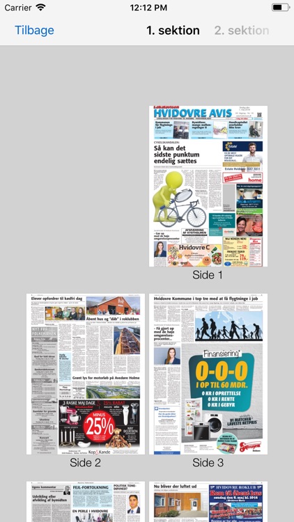 DS Lokalaviser screenshot-3