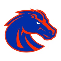  Boise State Broncos Athletics Alternatives