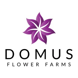 Domus Flower