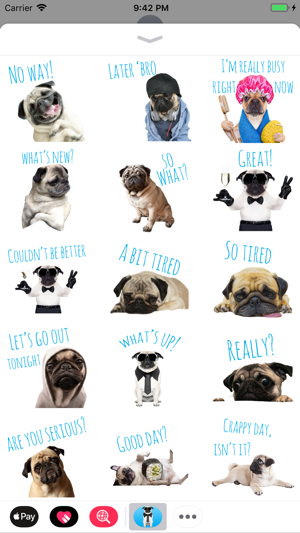 Pug Life(圖1)-速報App