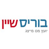 בוריס שיין יועץ מס מייצג