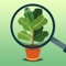 IDENTIFY PLANTS, TREES, FLOWERS, MUSHROOMS, SHRUBS, SUCCULENTS + MORE