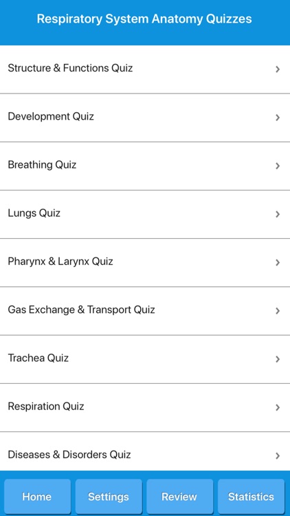 Respiratory System Anatomy