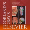 Icon Dorland’s Medical Dictionary