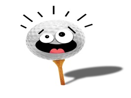 There is no limit to the moods and emotions you feel in a round of golf