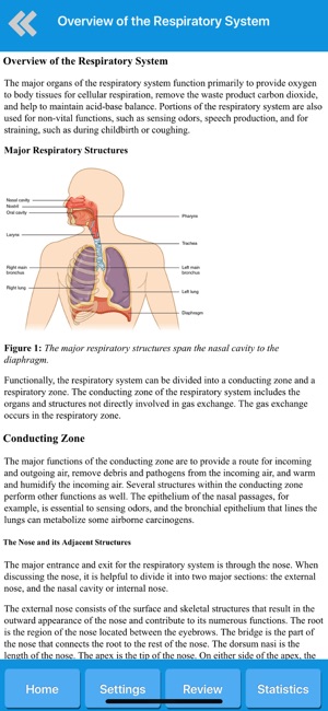 Respiratory System Anatomy(圖5)-速報App