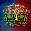 Animaterra 4