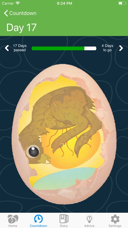 iHatch-Chickens screenshot-3