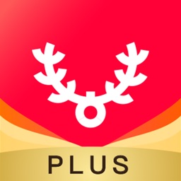 古果朝阳PLUS