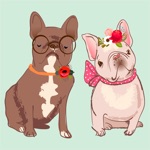 Pug French bulldog  Dachshund