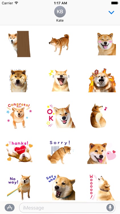 Adorable Shiba Inu Dog Sticker