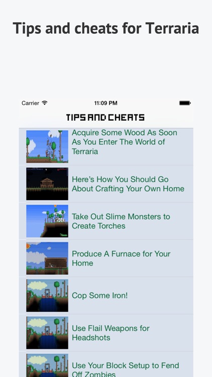 Guide & Wiki for Terraria