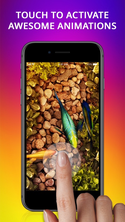 Live Wallpapers & Lockscreens