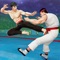 Kung Fu Fight: Karate Fighter