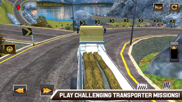 Transporter Euro Truck Car 18