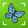 Get insekten bestimmen - bug Id for iOS, iPhone, iPad Aso Report