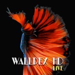 Wallpex HD LIVE