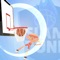 Icon Slam Dunk Master!