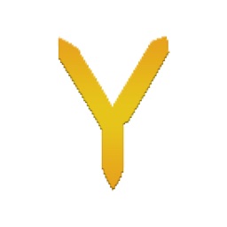 Y浏览器-专业版