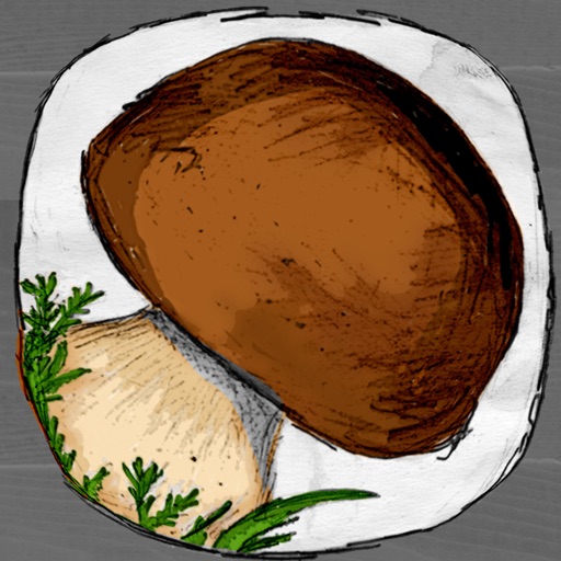 The Mushroom Book Download