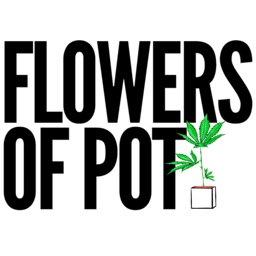 Flowers of Pot