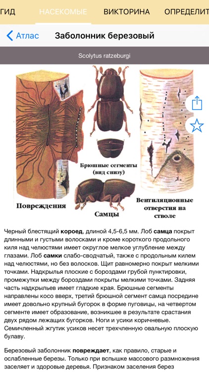 Экогид - Насекомые-вредители