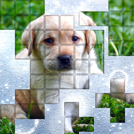 PicPu - Dog Picture Puzzle PicPu - Dog Picture Puzzle